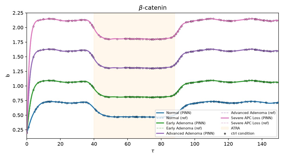 β-catenin trajectories for four disease regimes, PINN reconstruction overlaid on the reference solution, with 150 noisy observations per regime and the ATRA treatment window shaded